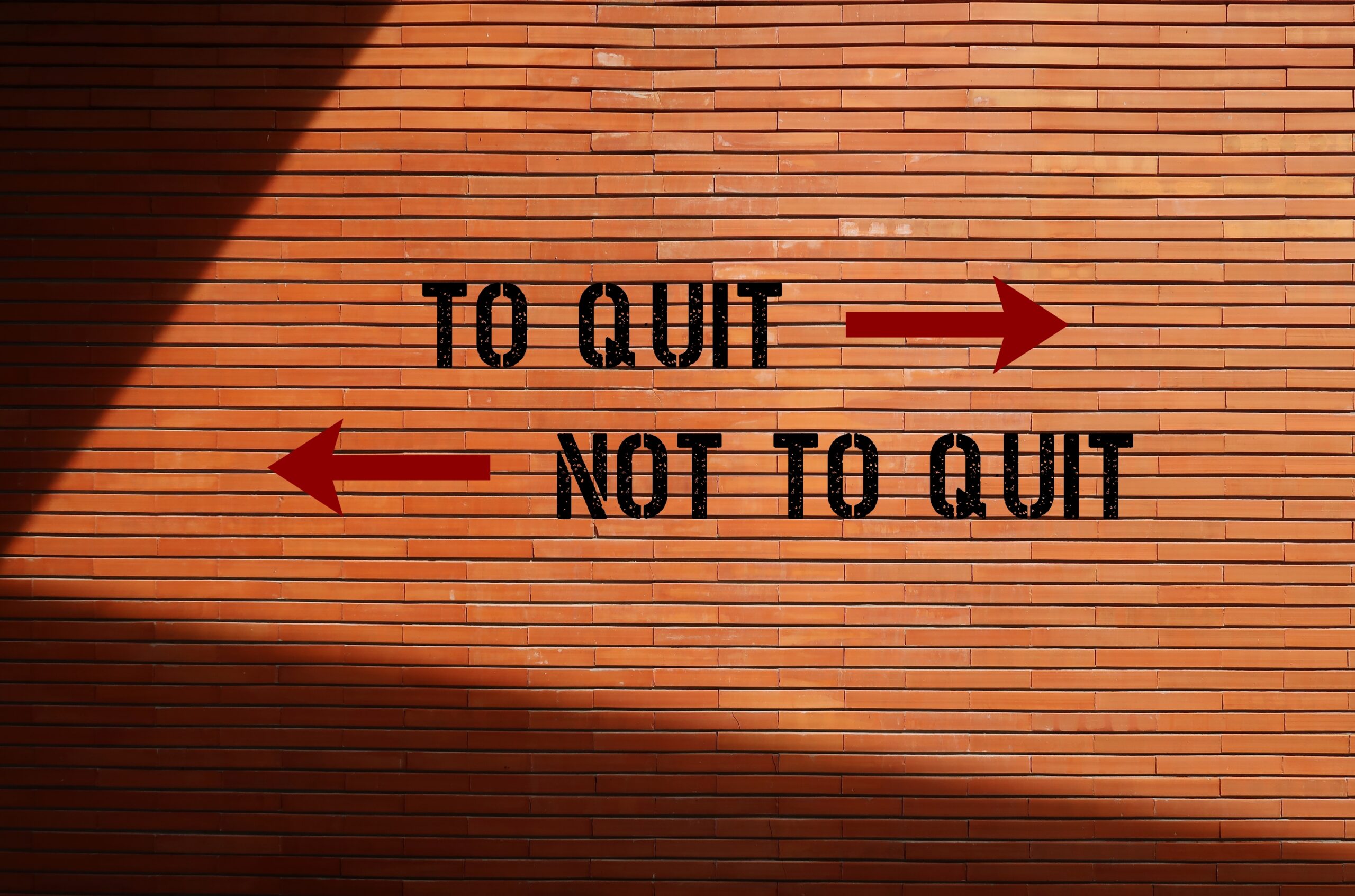 Shutterstock/ Ariya J