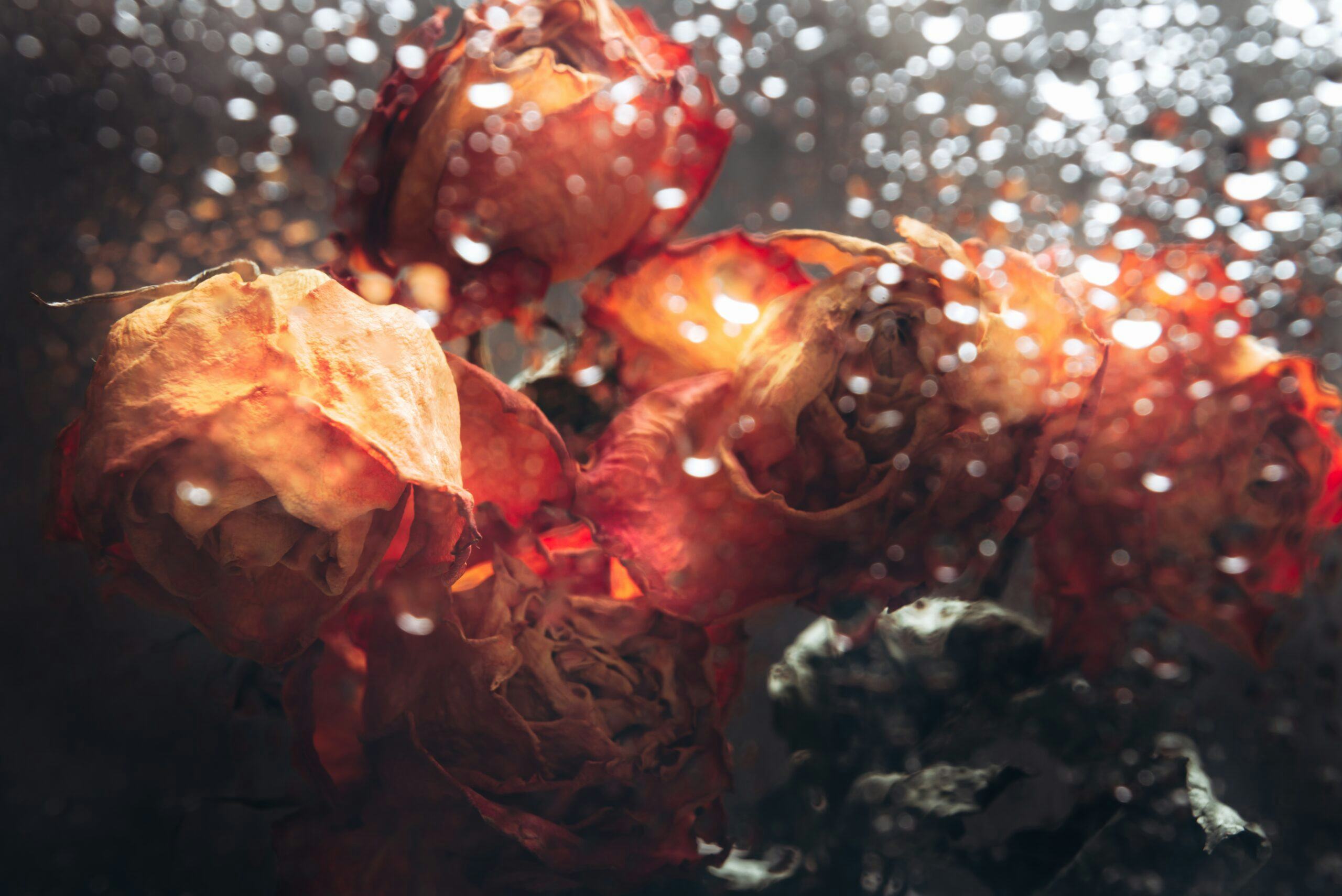 Shutterstock/ Anna Mente