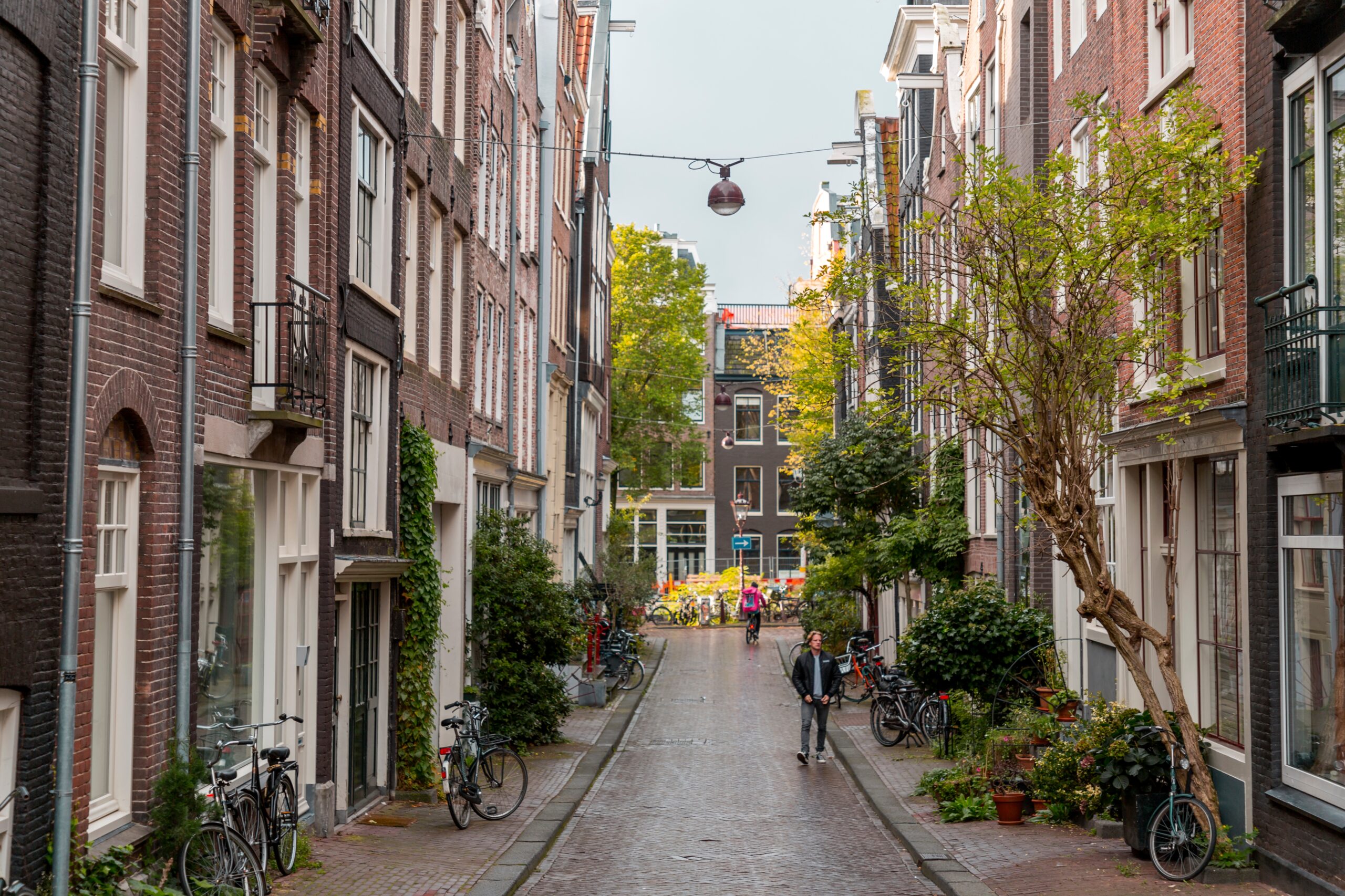 ColorMaker / Shutterstock.com