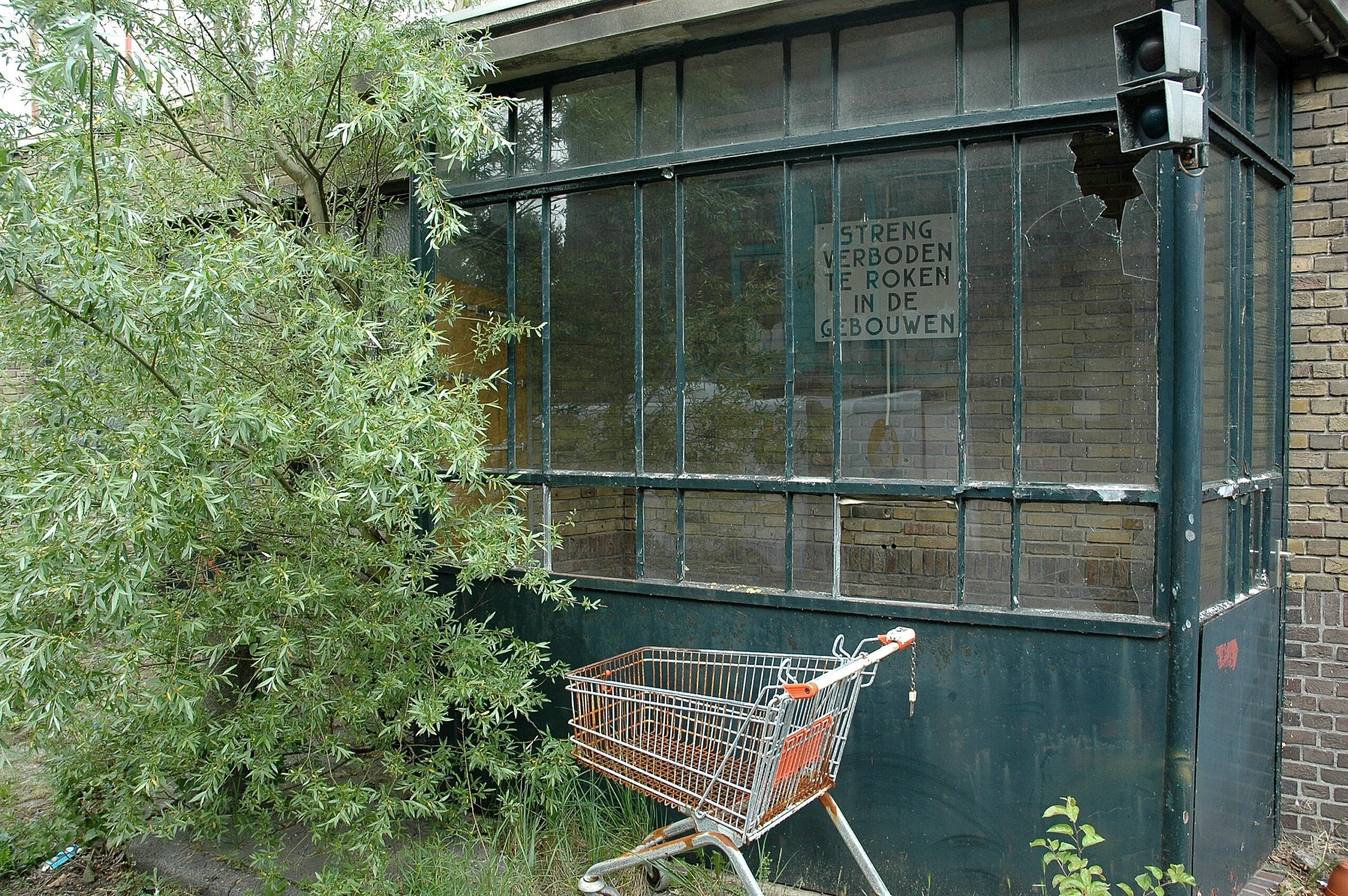 Shutterstock/ pmvfoto