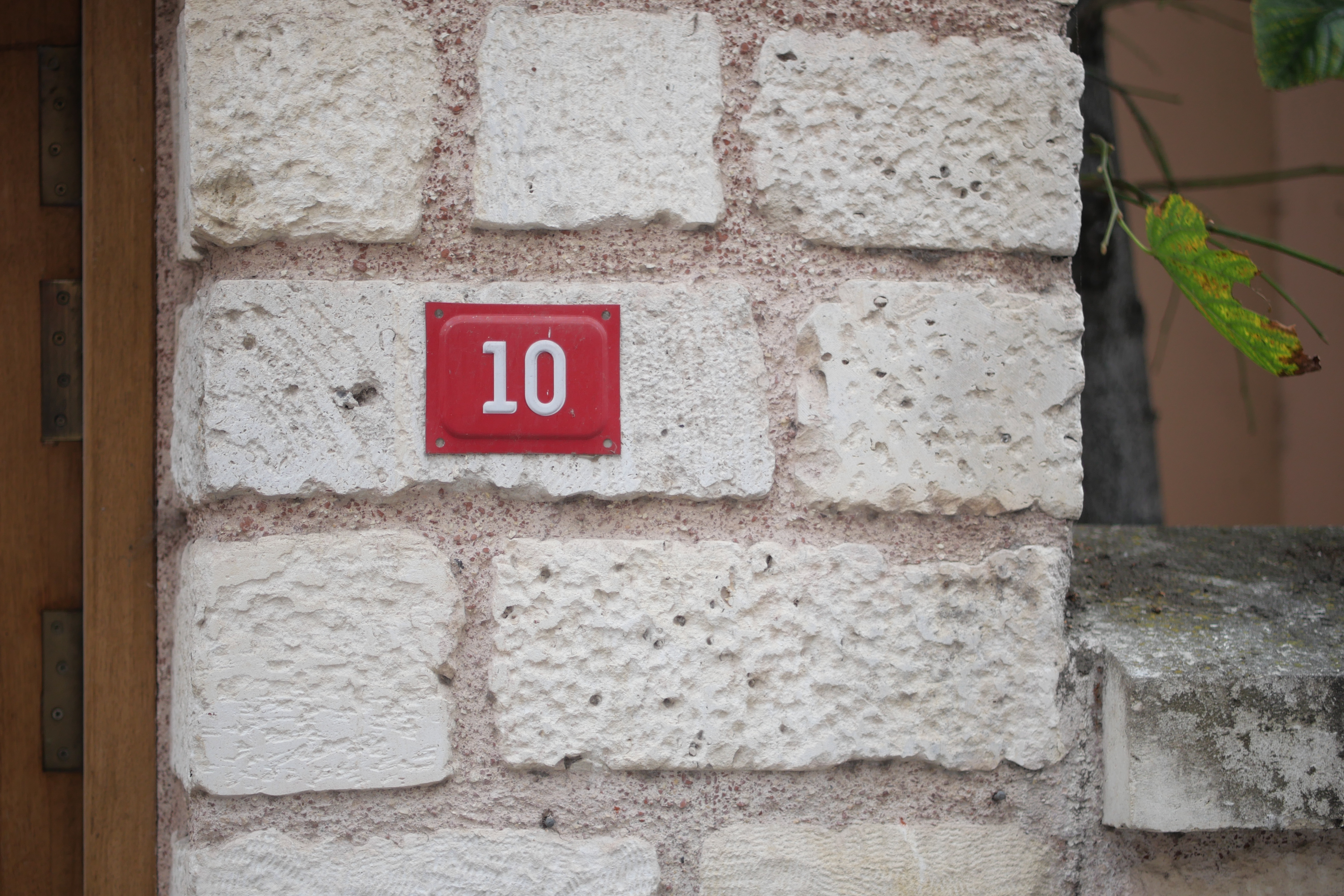 Foto: Shutterstock/ Towfiqu ahamed barbhuiya