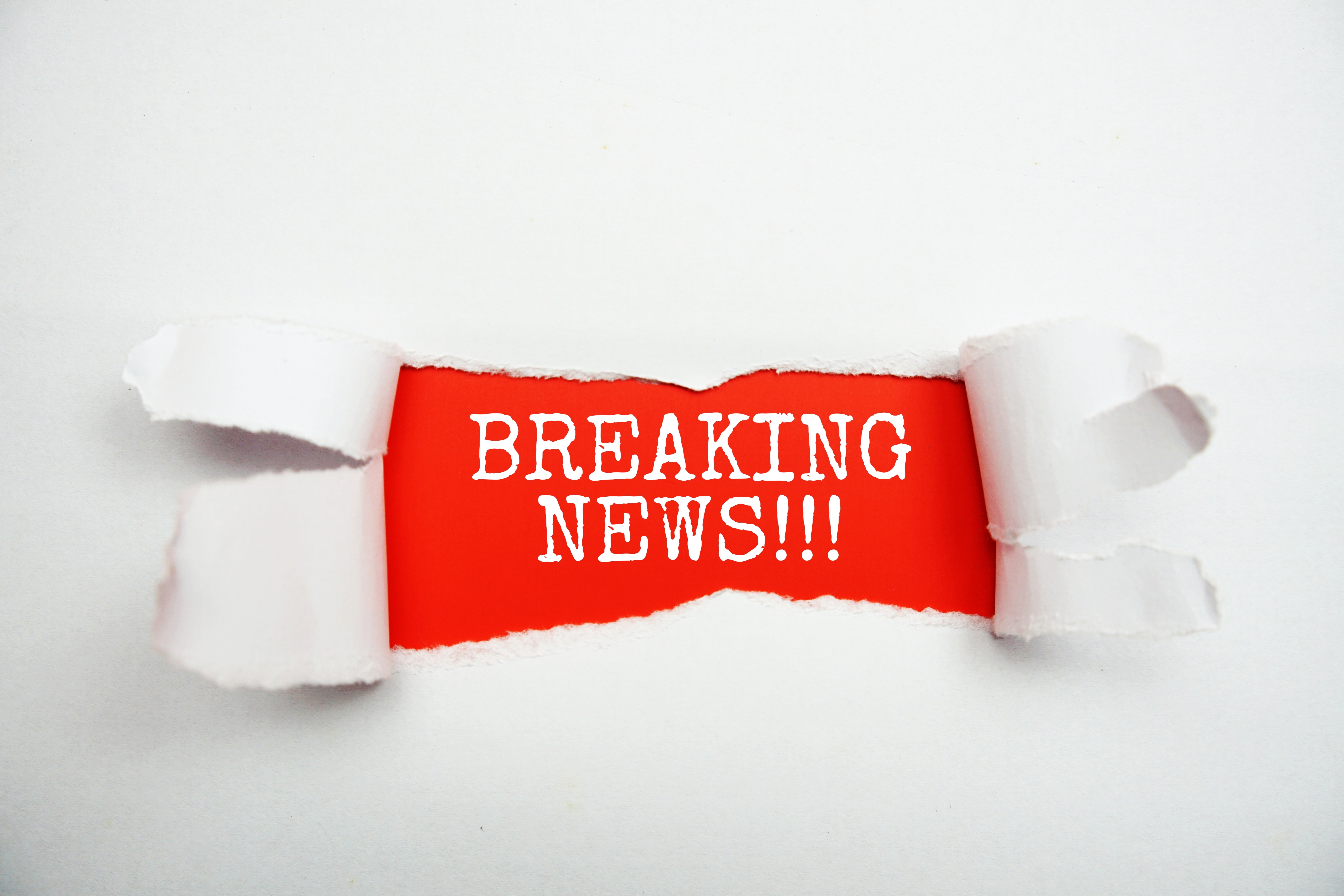 Shutterstock/ mayu85