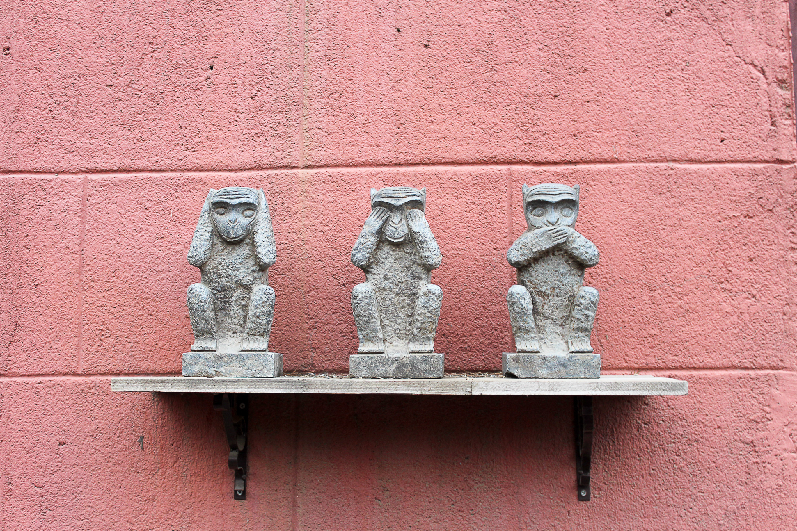 Shutterstock/ Elise V