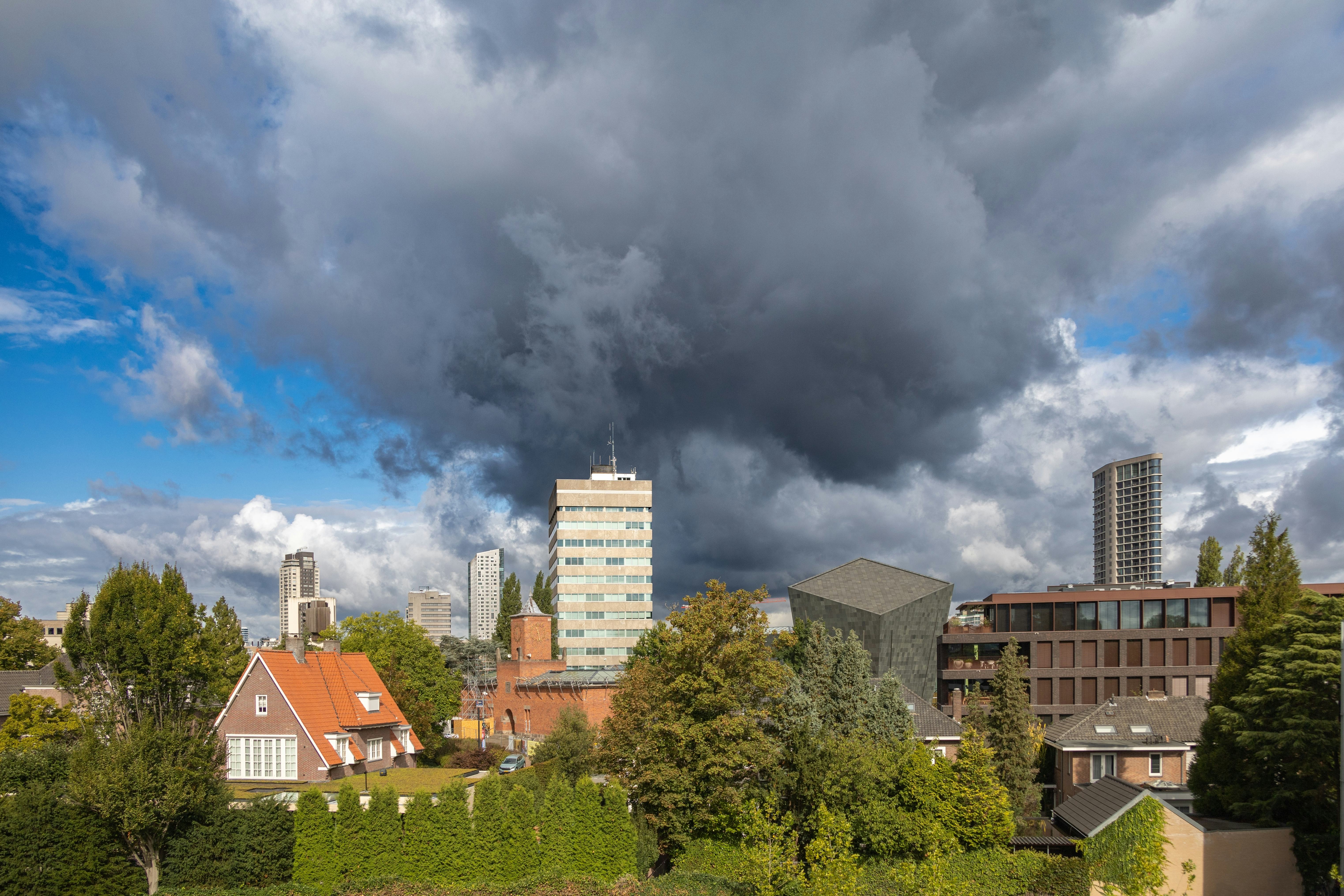 Shutterstock/ Robert Coolen