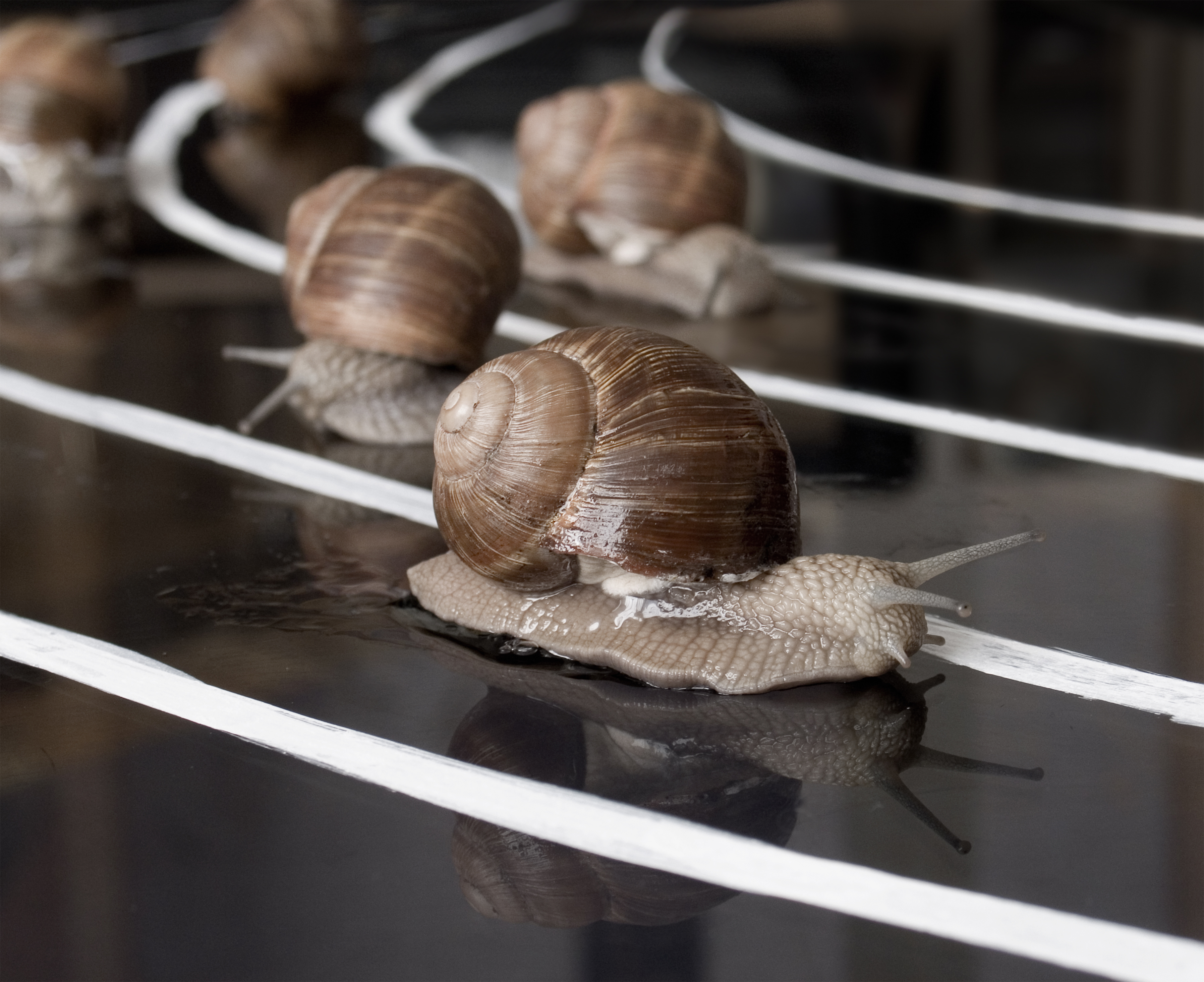 Shutterstock/ Liliya Kulianionak